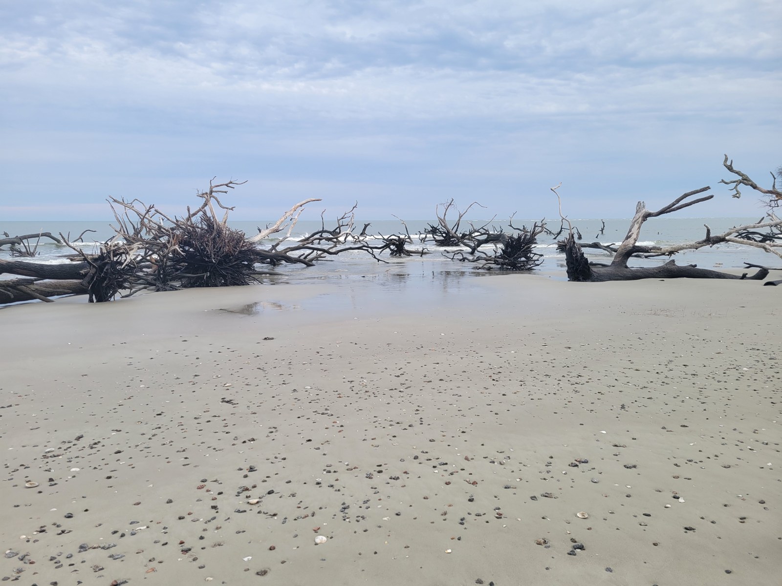 Archival April 17, 2024 Boneyard shoreline on Hunting Island. The bridge to Little Hunting/Boneyard Beach is currently closed; this photograph does not describe the recommended operating North or South entrance.