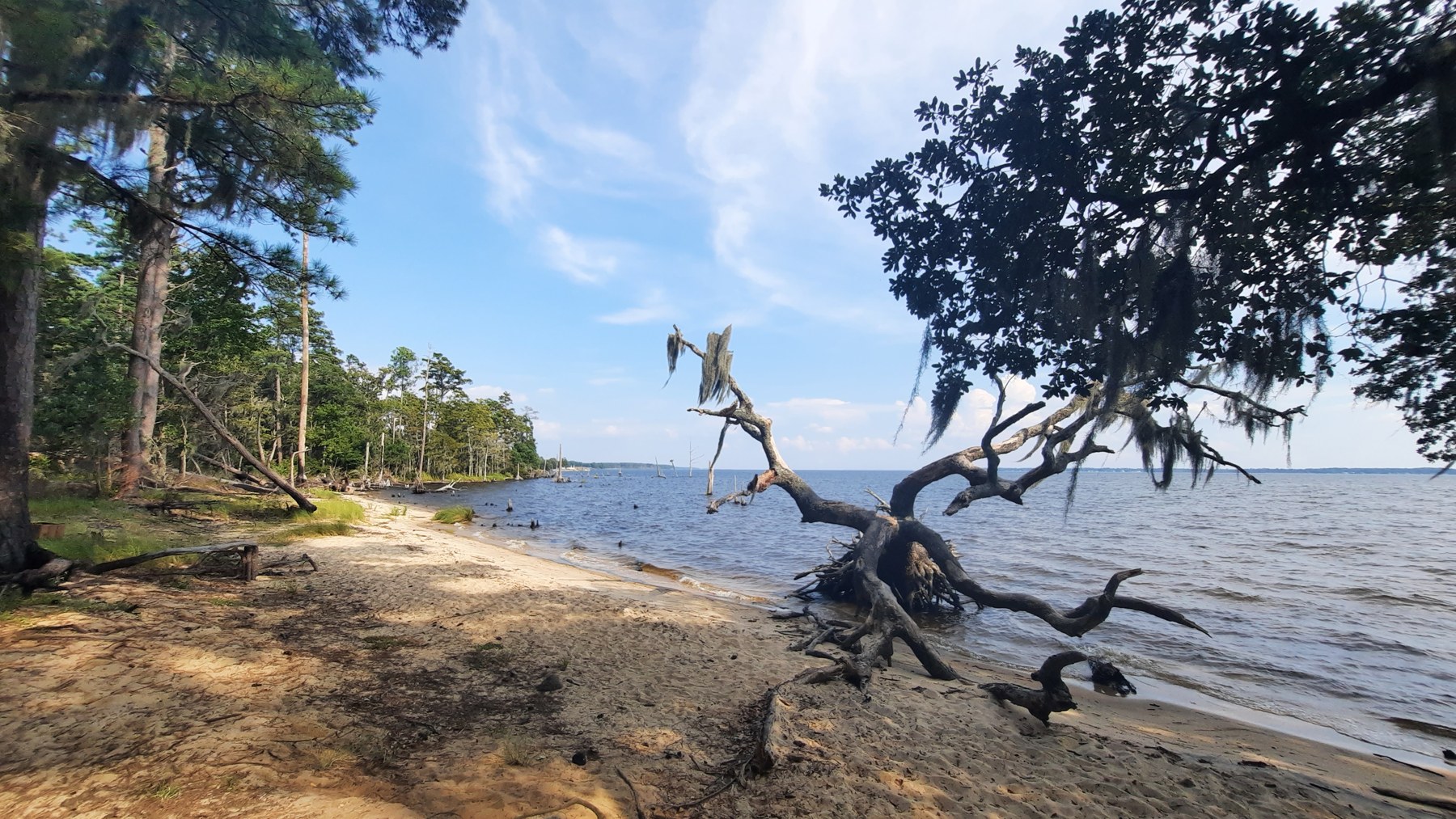 Goose Creek State Park Pamlico shoreline, September 8, 2021 — archival scenery; not the exact designated swimming section.