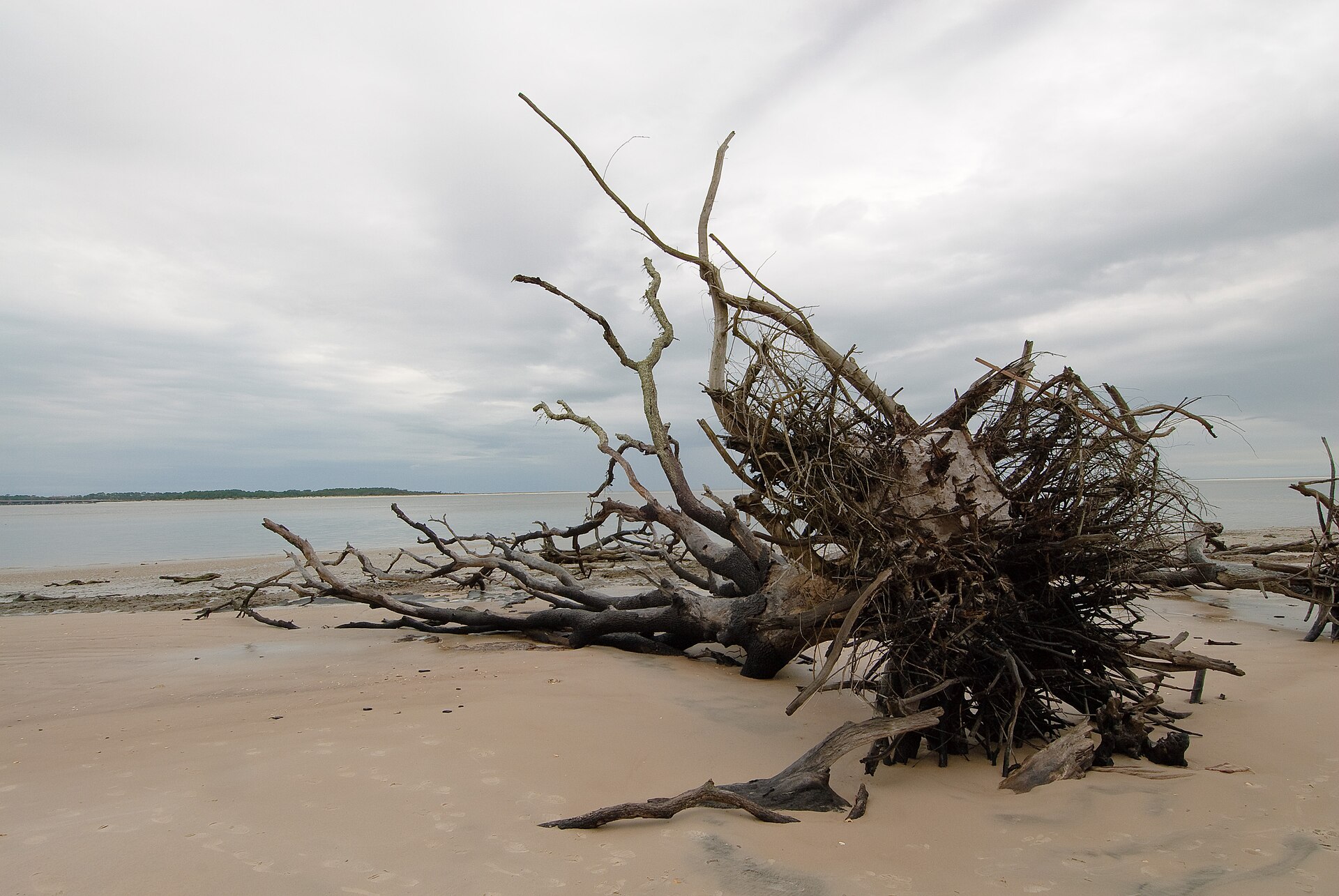 Boneyard Beach · Big Talbot Island