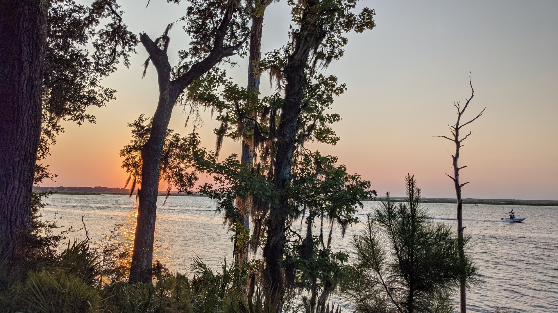 Sunset river view at Fort McAllister, framed by moss-draped trees; archival 2021 coastal reference.