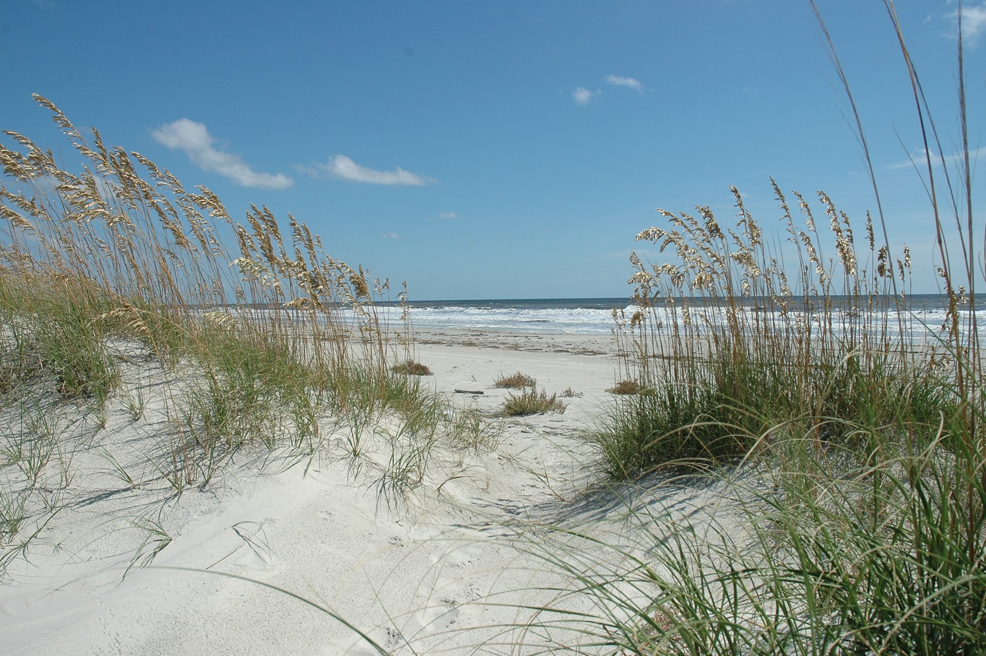 Sea oats frame the sand and Atlantic surf on Cumberland Island Photograph: Cumberland Island National Seashore / NPS · CC BY-SA 2.0. Historical view; current conditions may differ.