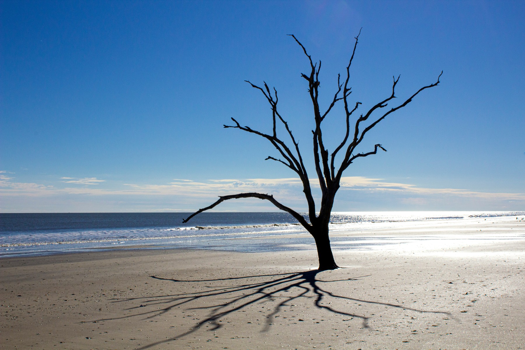 Botany Bay beach on Edisto Island by Angelique. Published May 2022; capture date unknown.