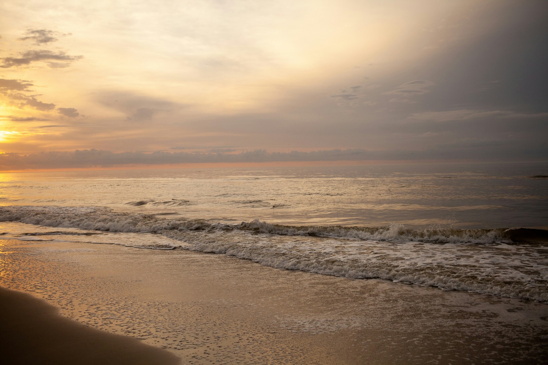 Isle of Palms shoreline by KaLisa Veer. Published March 2021; capture date unknown.