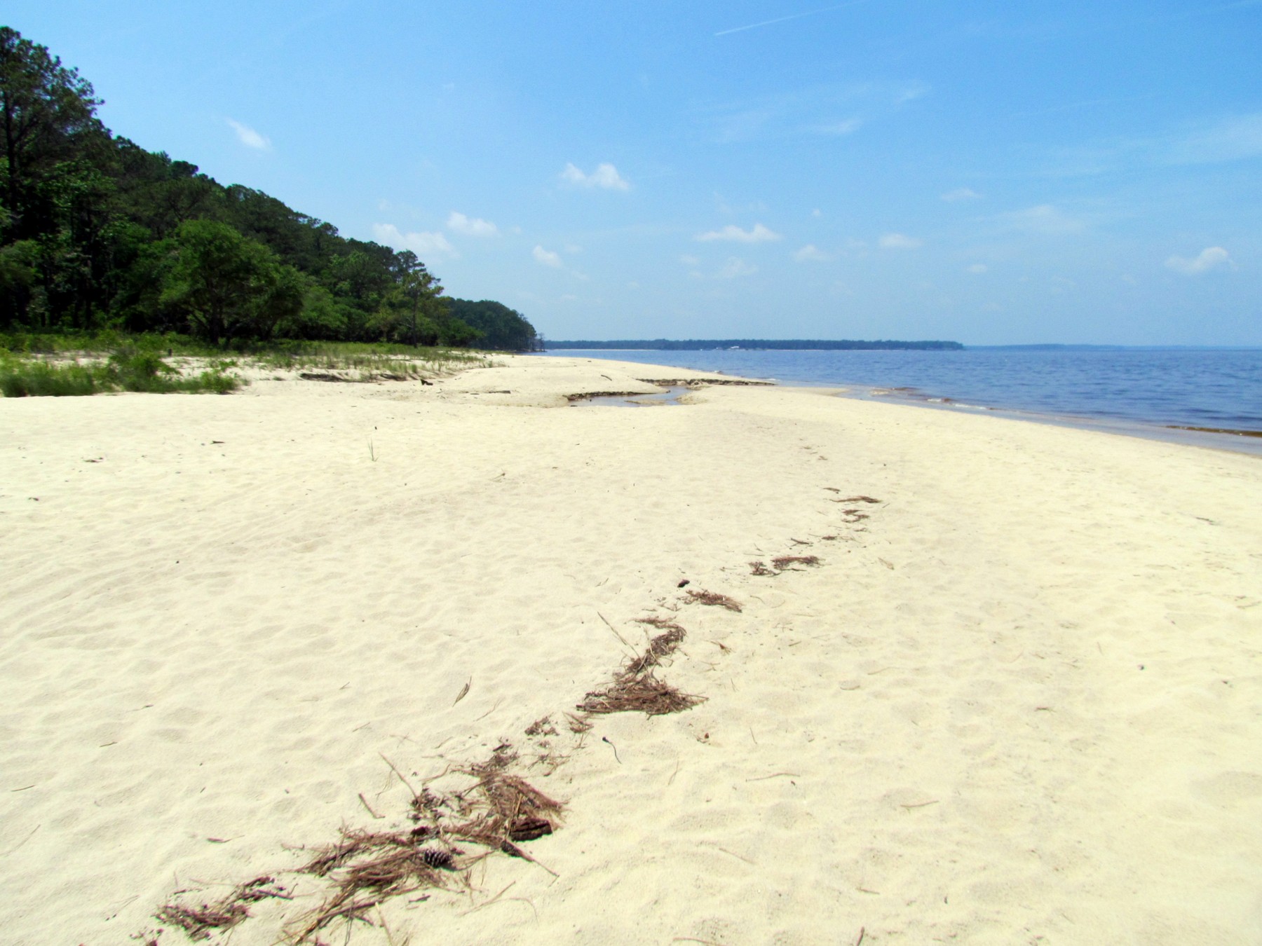 Pine Cliff shoreline, May 28, 2014 — archival scenery; the site is currently closed.