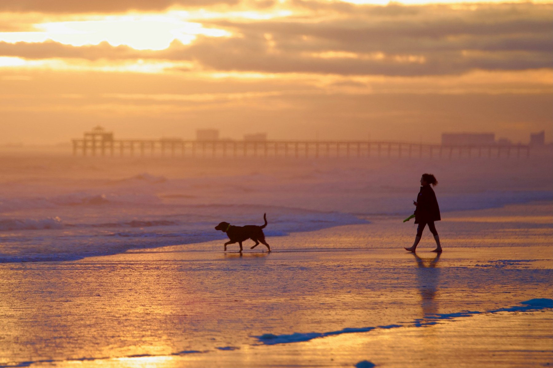 Cherry Grove shoreline with a pier and an incidental walker and dog; capture date unknown. This image does not establish current dog rules.