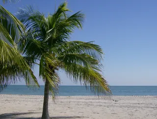 Crandon Beach · 10 February 2008 (original upload date) · Paulkondratuk3194 at en.wikipedia · CC BY-SA 3.0