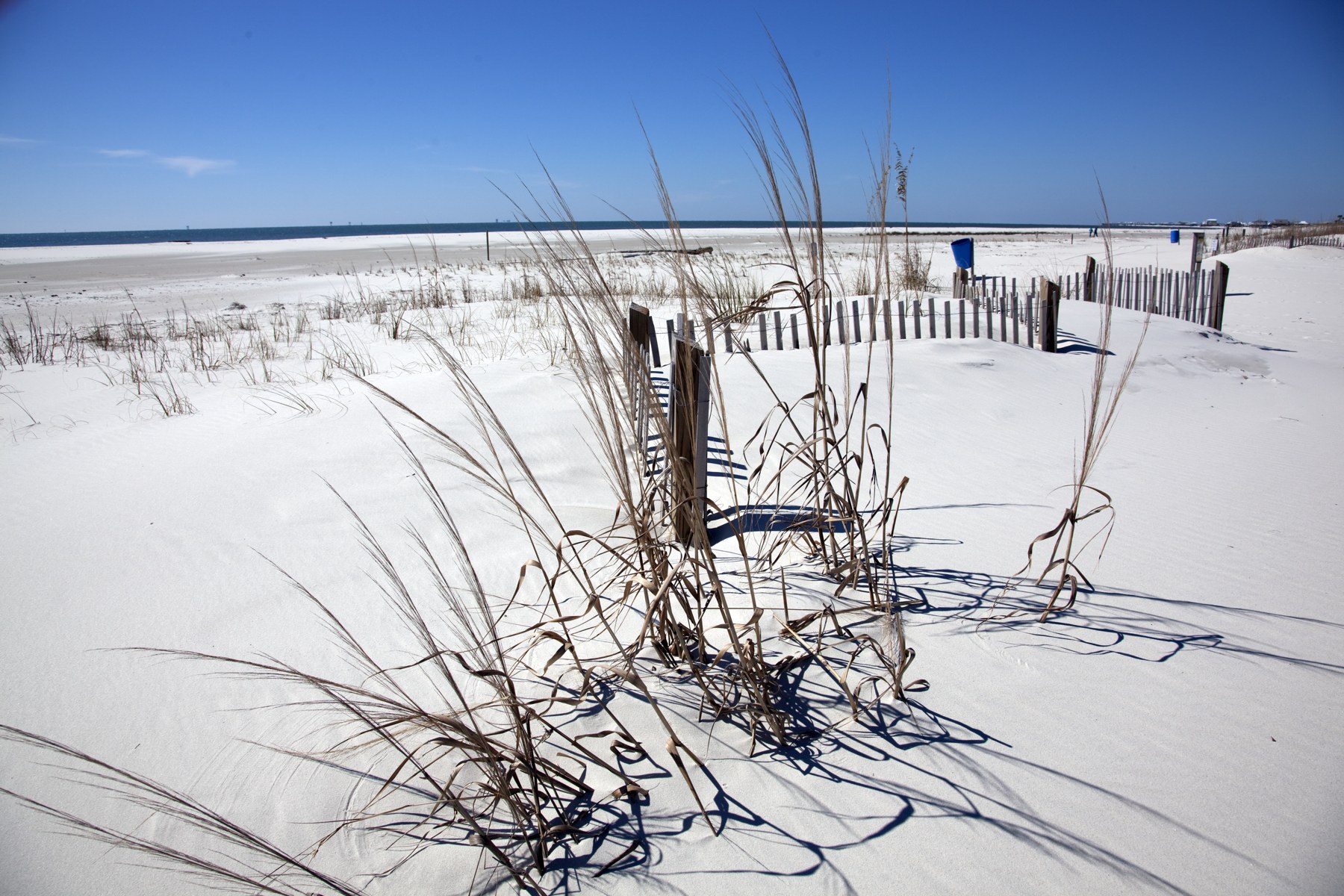 Historical Dauphin Island shoreline in 2010