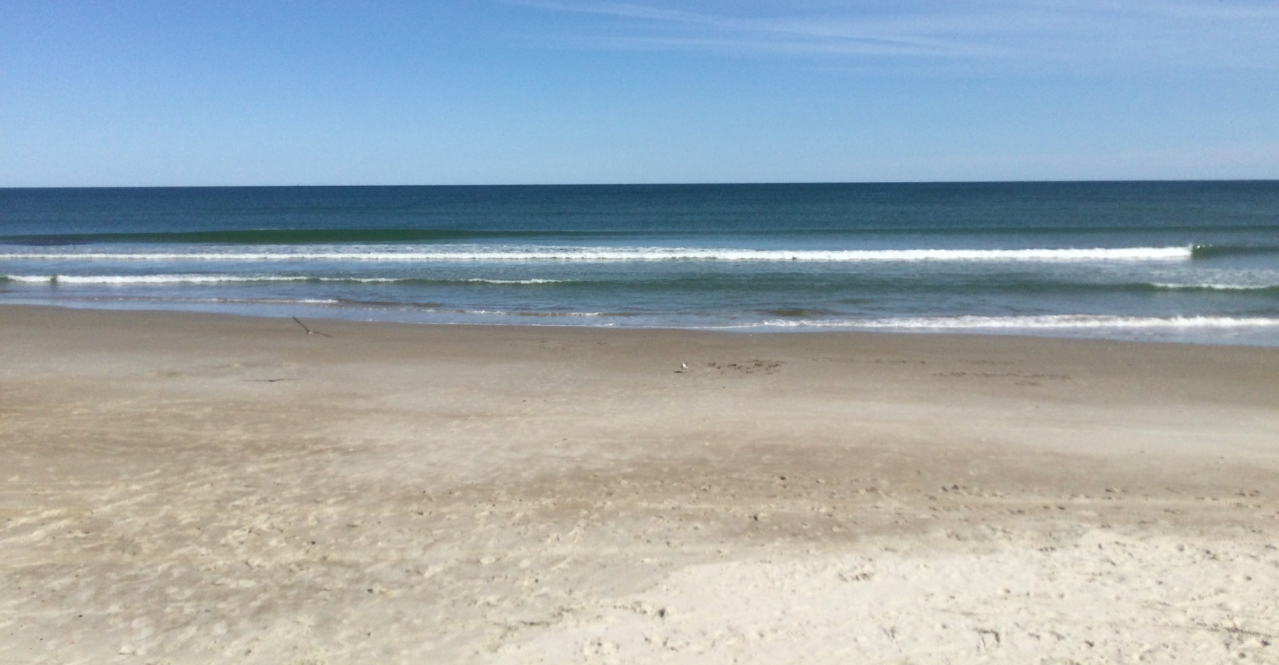 Bear Island shoreline in Hammocks Beach State Park, photographed June 19, 2022.