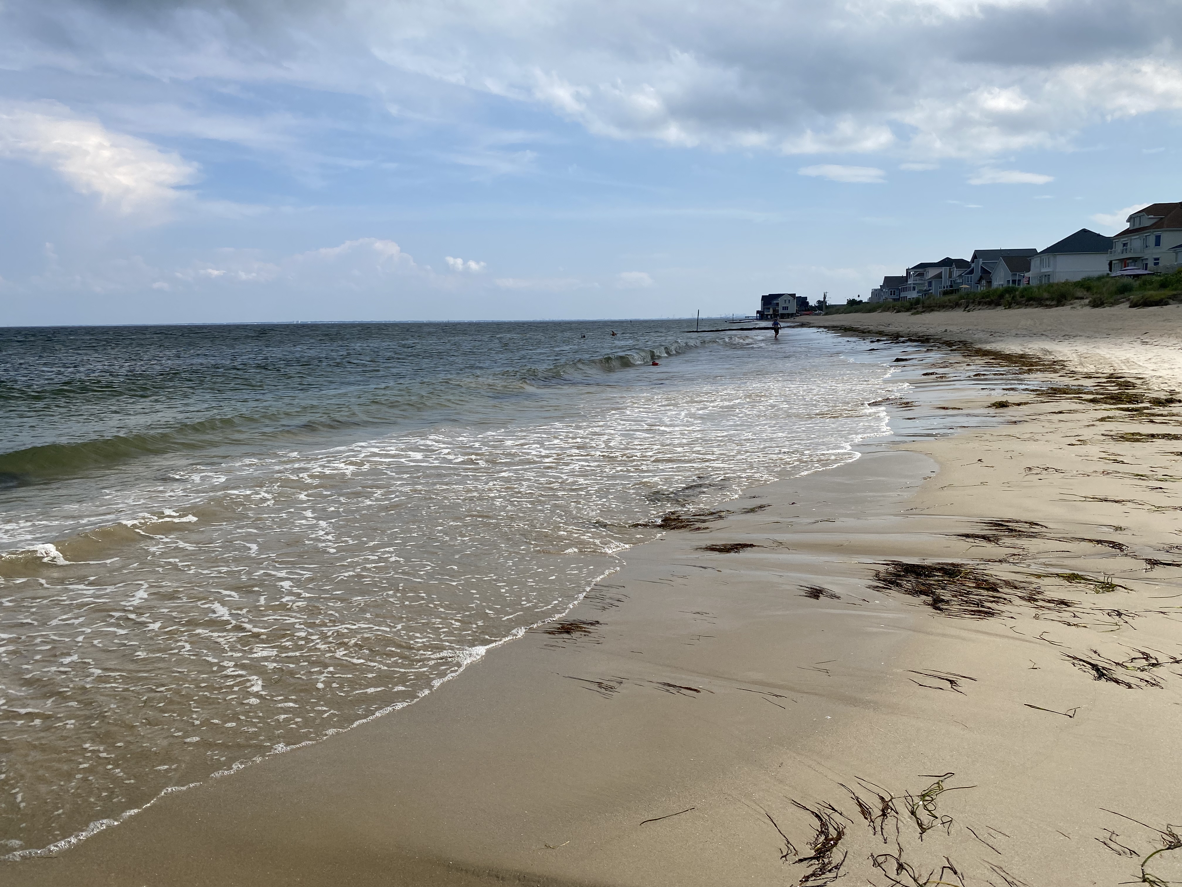 Salt Ponds Public Beach, July 7, 2022. Photo: Fuzheado / CC BY-SA 4.0. Full-resolution original unchanged; display copies cropped and resized.