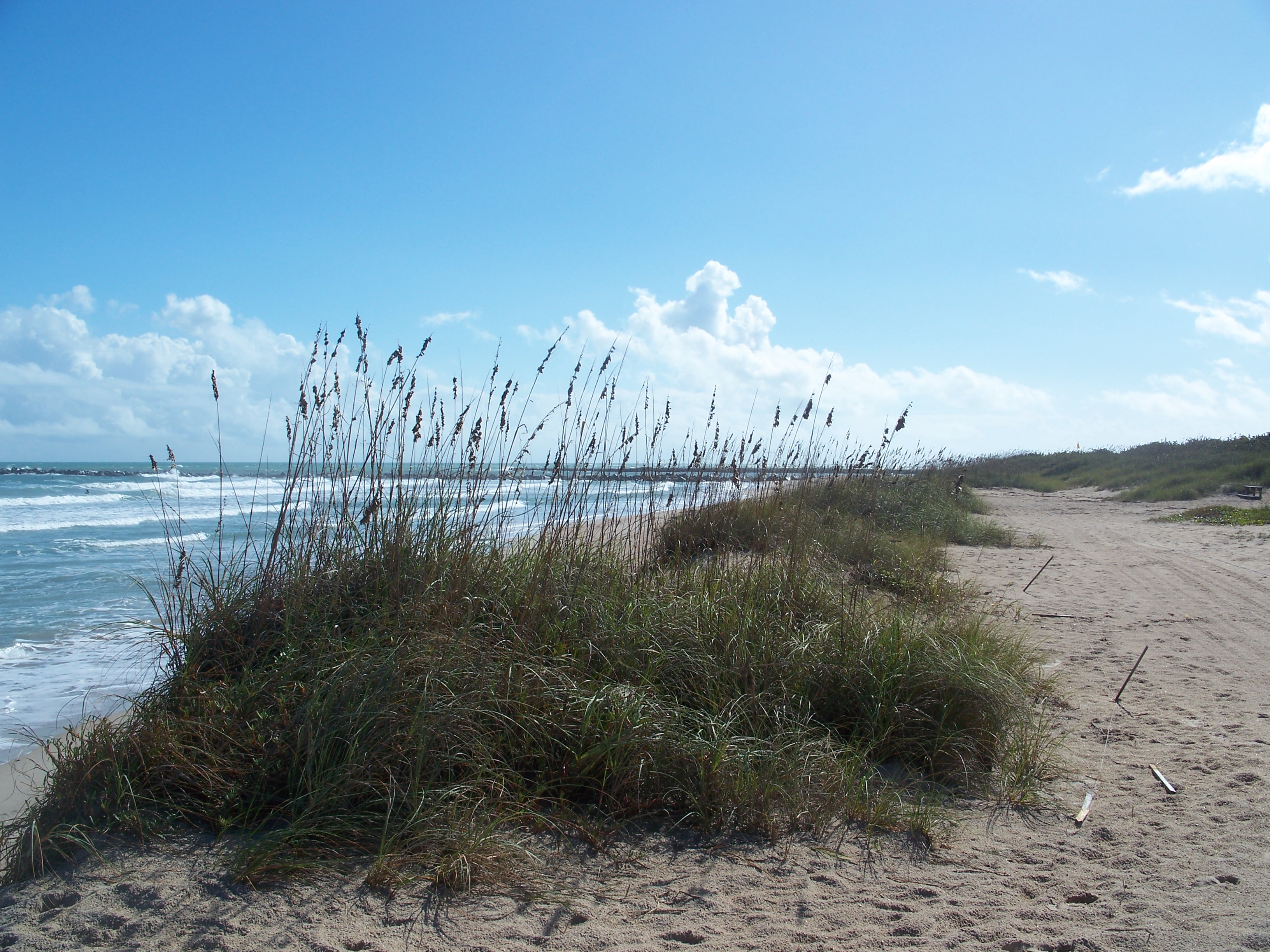 Fort Pierce Inlet State Park beach shoreline in 2010; archival scenery, not current access or conditions.