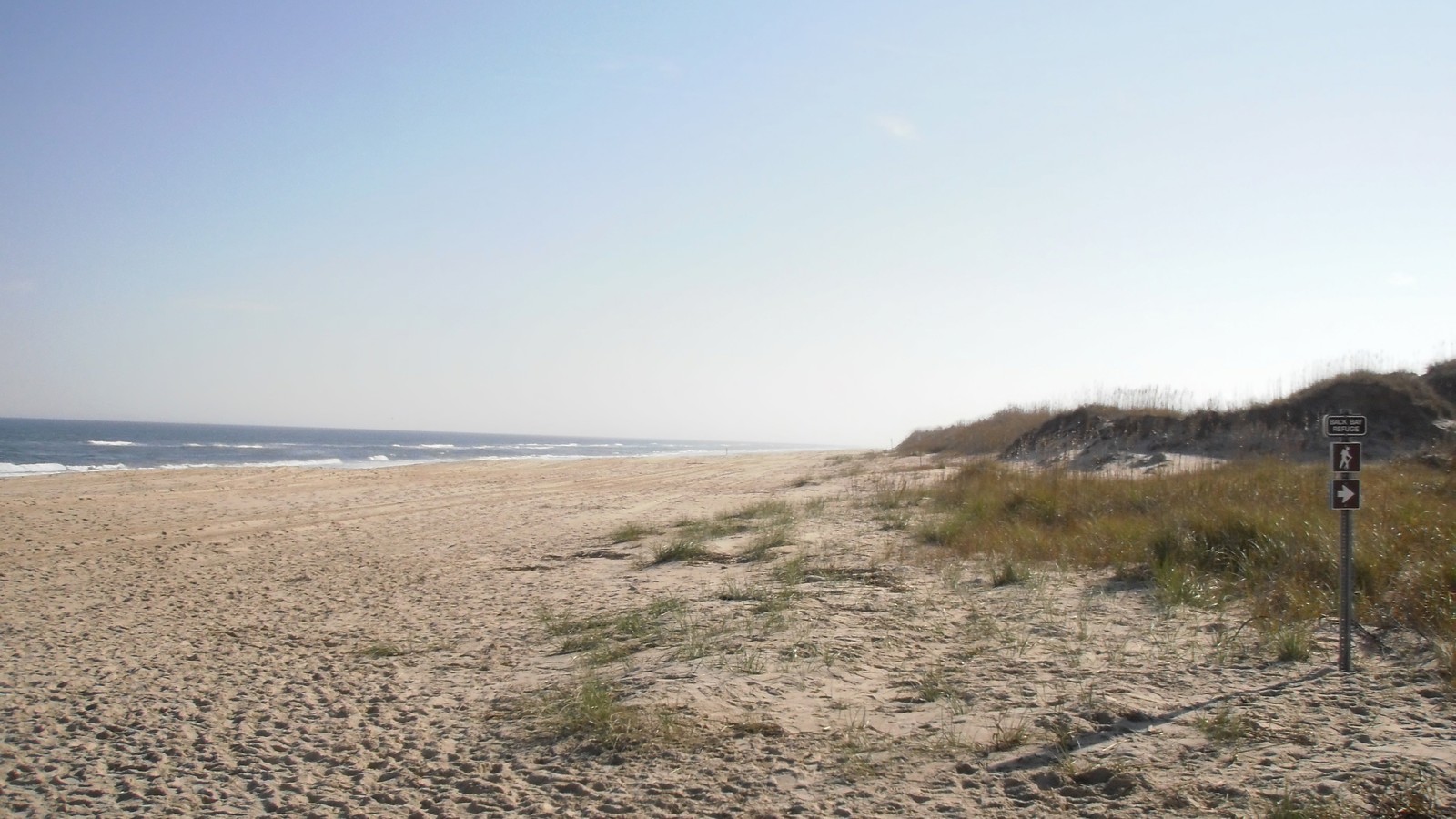 Back Bay National Wildlife Refuge Atlantic beach; capture date unknown.