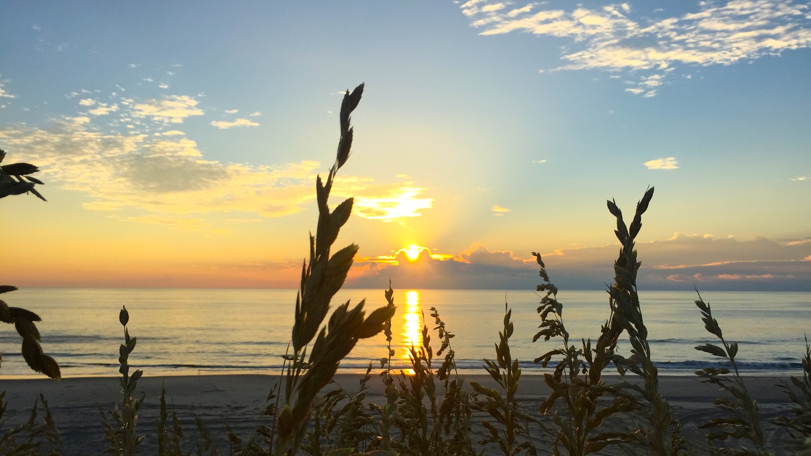 False Cape State Park Atlantic beach; 2016-08-20.